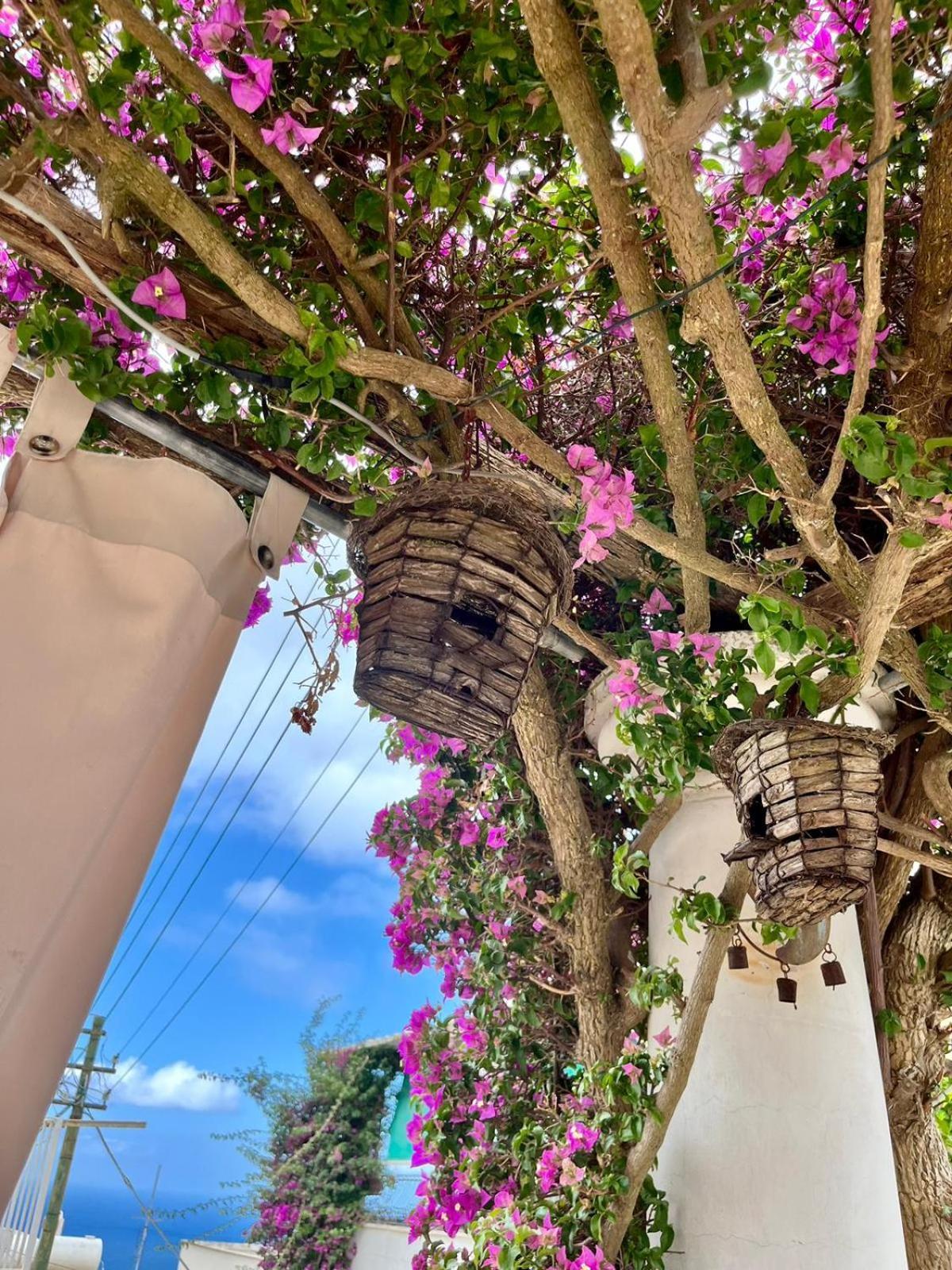 Alle Stelle B&B Anacapri  Exteriér fotografie