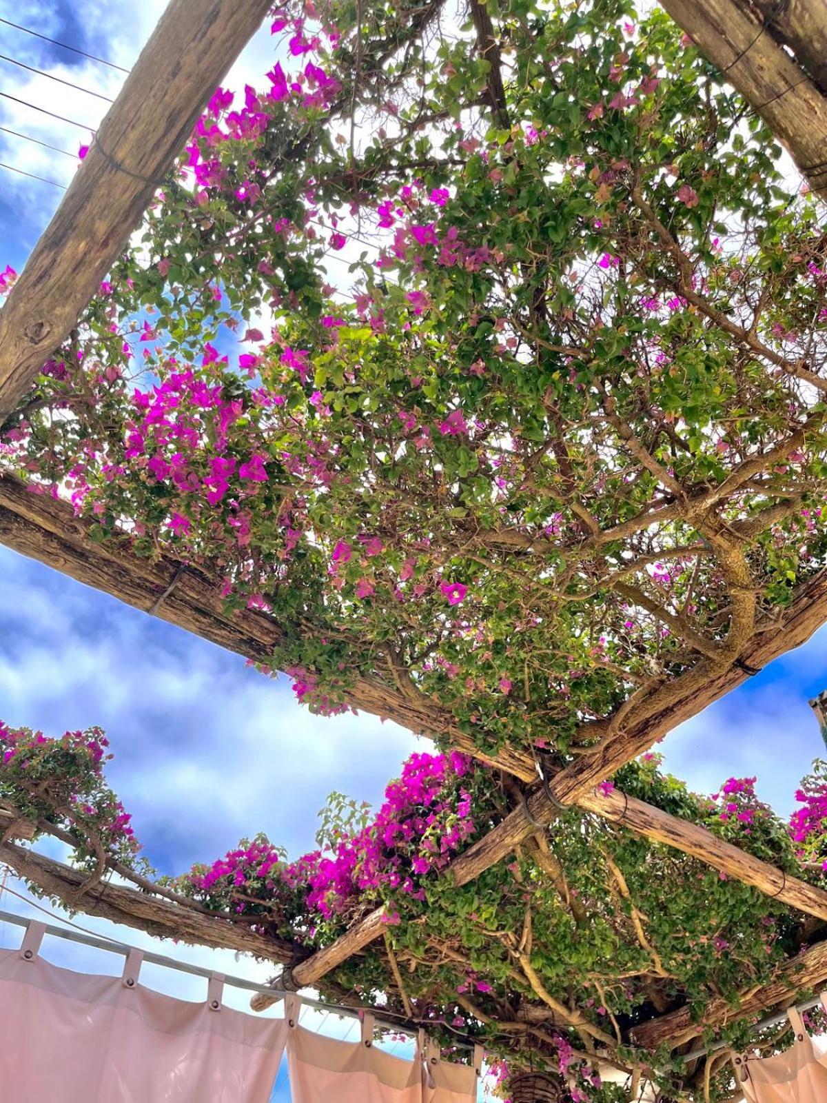 Alle Stelle B&B Anacapri  Exteriér fotografie
