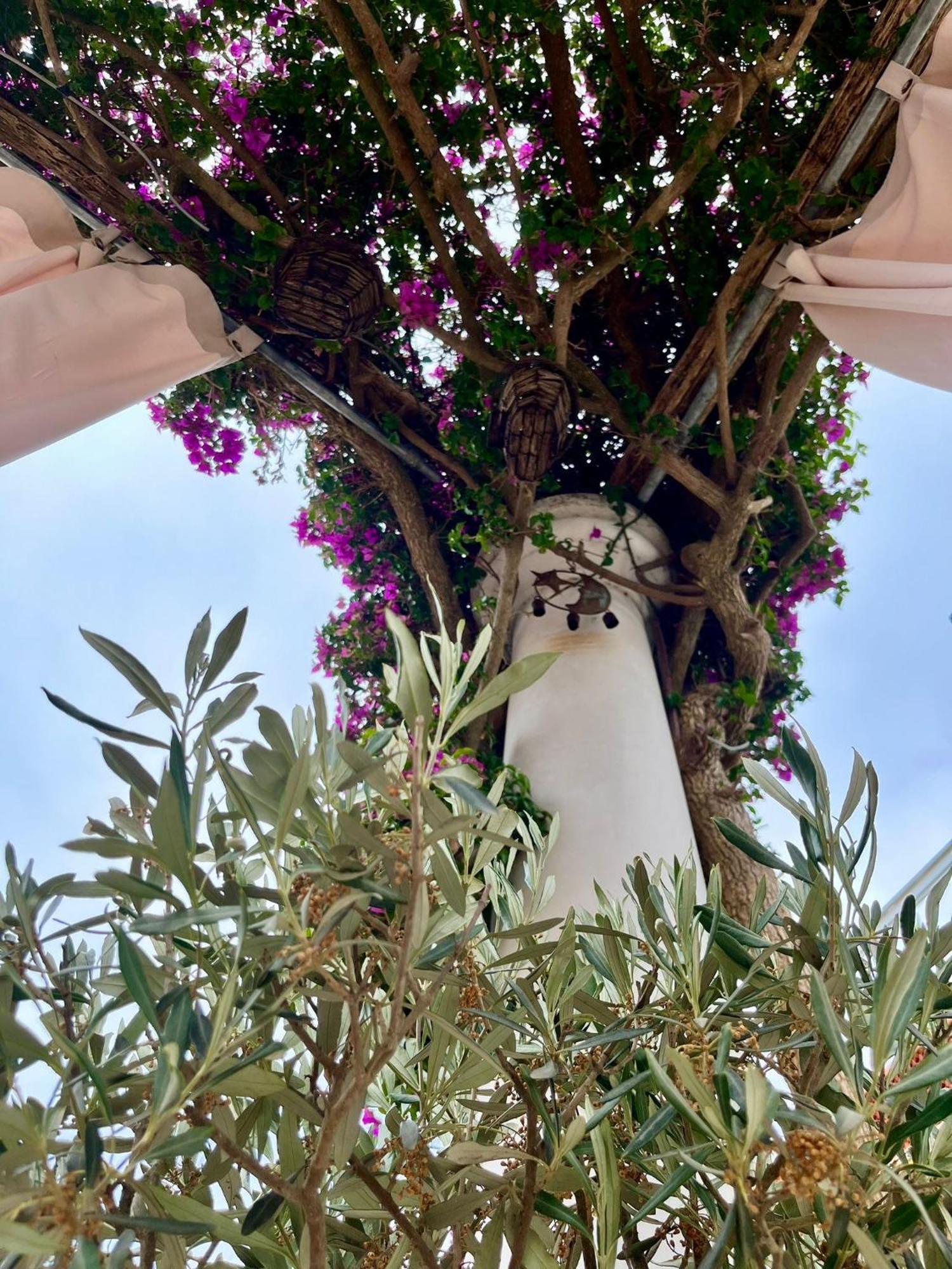 Alle Stelle B&B Anacapri  Exteriér fotografie
